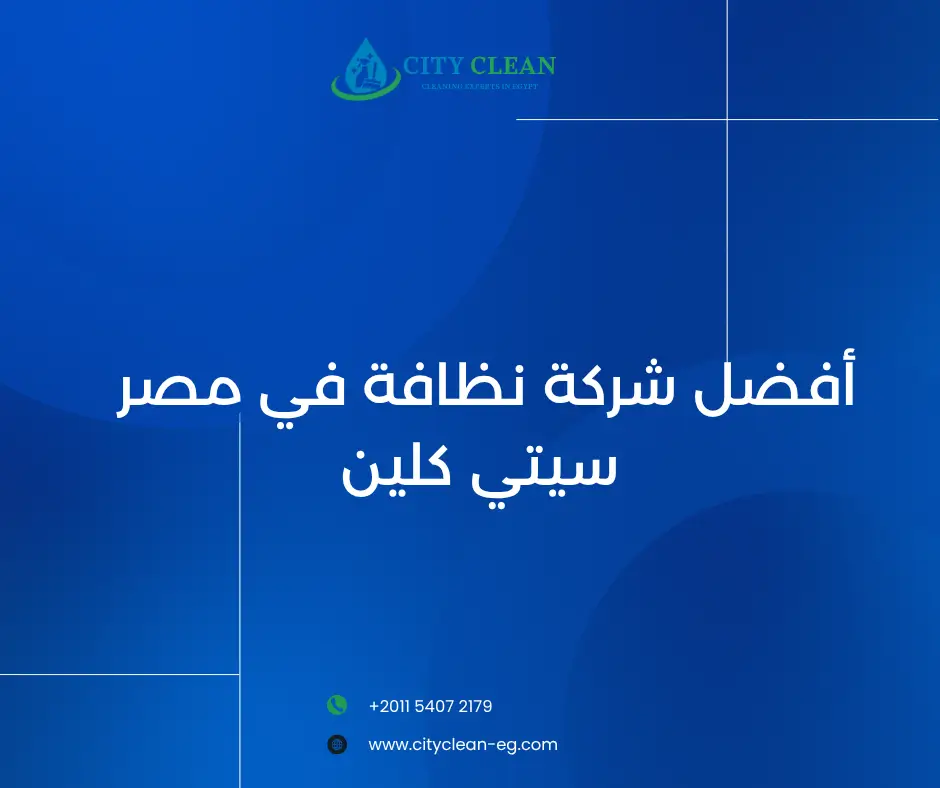 خلفية شركة  سيتي كلين